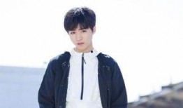 圈内爆料张雨绮王俊凯,娱乐圈再掀波澜